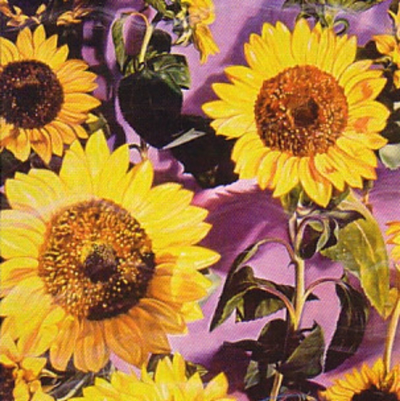 Sunflowers 10 Limited Edition Lithographs